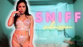 Diaper Discipline: Bratty Princess Encourages Gay Sniff Submission