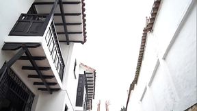 Orgasmos desde el jardin de la mansion - Una intensa serie de actrices porno y modelos webcam