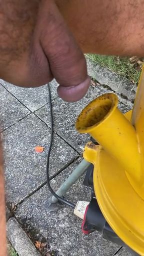 Garden Hose