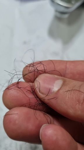 Trimming the fur of the naughty and furry teddy bear