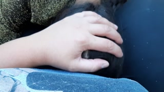 I seduced my housekeeper when she was in the garden with whom we fucked in the yard (part 2)