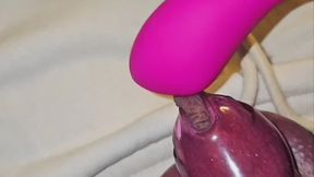 GlitterGiiiirl´s Chastity Cage Close Up With Vibrator At The End