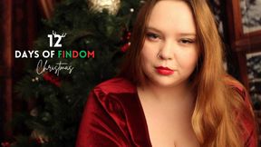 12 DAYS OF FINDOM CHRISTMAS