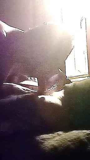 My Neighbor's Son Visits Me for Oral Sex in Secret