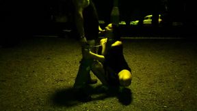 Cum in a park