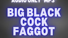 BIG BLACK COCK FAGGOT *MP3 AUDIO ONLY*