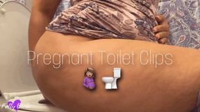 Pregnant Toilet Clips 2022 Pt 1