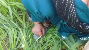 Social Experiment XXX: Random Guy Licks My Pussy Outdoors