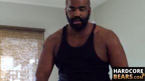 Big dicked black bear hammers blindfolded cub from behind relentlessly