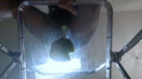 crush - Shattered Seat, Splattered Pepper: A Goddess’s Victory, female domination, ass fetish, goddess worship 4k smaller