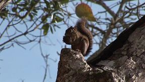 porn amator with latino boy not really gay fucking bareback with boy