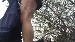 Wild encounter in the park