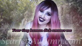 Your small dick amuses the Fairy Queen - MP4 HD 1080p