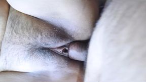 Wife Hot Wife Ki mast Chudai