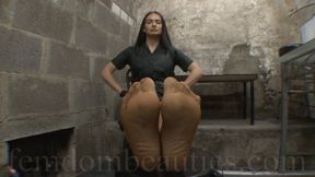 GODDESS ENDORA - THE DOCTOR'S FRAGRANT NYLON STOCKINGS 2