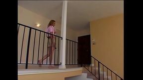 Frenchie Tries To Get Fertilized