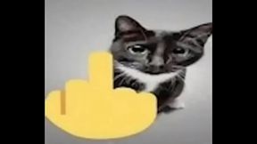 me vengo en la oreja de mi abuela y invado ucrania