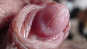 Amazing clitoris close-up