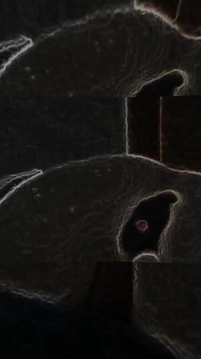 Amateur Boy Double Anal Penetration