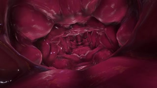 Giantess Vore vrchat