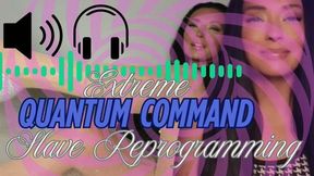 EXTREME QUANTUM COMMAND SLAVE TRAINING