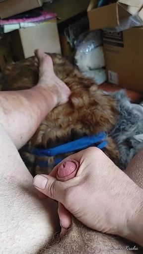 Tugging the Cock