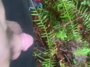 Peeing on the bank near a small waterfall