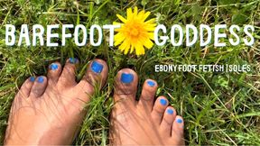 Barefoot Goddess | Ebony Foot Fetish and Soles Worship with Temptress Mango