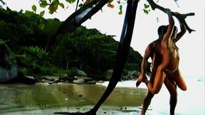 This Brown Hole Loves the Tropical Islands