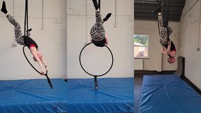 aerial hoop may 2024