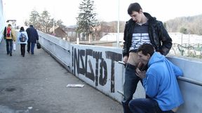 John and Benjamin - Rough Ass Fucking in Public Parks