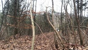 Giantess hunts tinies in woods and takes them home