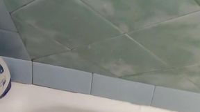 Rough Red Cock (Tania Amazon)