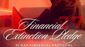 FINANCIAL EXTINCTION PLEDGE. 31 DAY FINSEXUAL PROTOCOL [27/31]