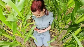 Blowjob and facial in a corn field