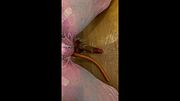 Sissy cum on magazine and swallow