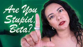 Are You Stupid Beta
