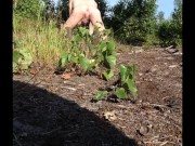 boy Crawls Naked in Public