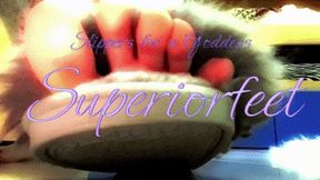 Slippers for a Goddess