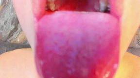 David Laid Private Show