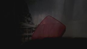 Shower Silhouette Tease (You Know What I’m Doing)