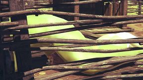 princess fiona get rammed by hulk