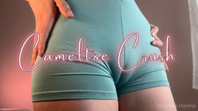 Cameltoe Crush