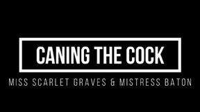 CANING THE COCK