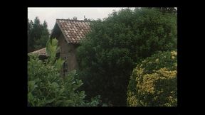 Sex and the Big Cock