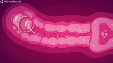 Beat Banger MOD - Futa Compilation [No HUD]