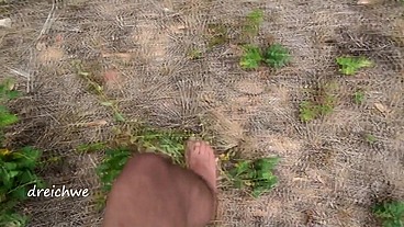 Crushing plants in the field