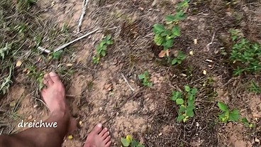 Crushing plants in the field