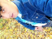 Autumn peeing on dry leaves in a park