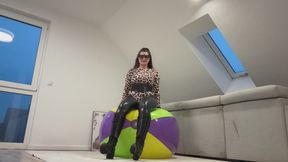 Miss Cookie is riding a beach ball
